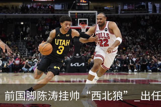 前国脚陈涛挂帅“西北狼” 出任陕西联合一线队主教练